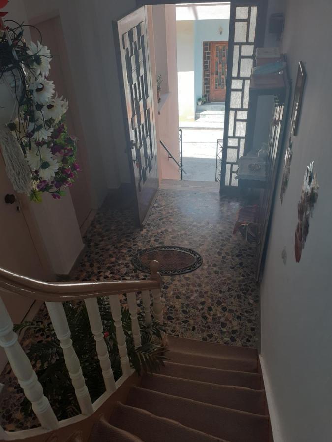 Thalia'S Garden Mytilene Exterior foto